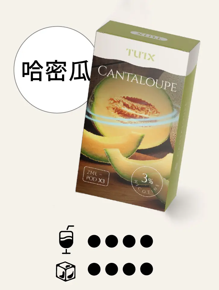 哈密瓜.png.webp - BA Elf Bar 台灣電子煙專賣店|正品煙彈・電子霧化器